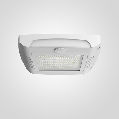 Ra 80 천장 칸피 라이트 75W 100W 120W 폭발 방지 LED 칸피 라이트