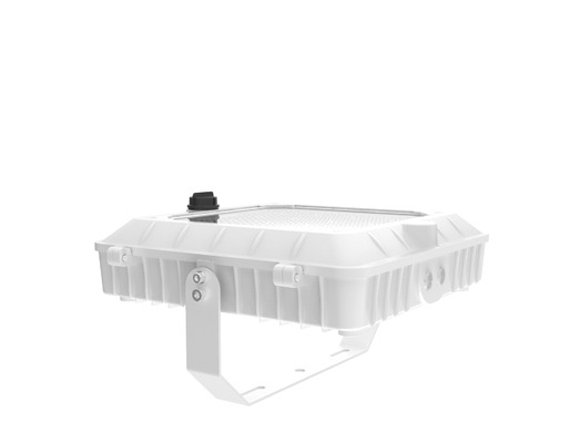 120-277V 50/60Hz 입력 전압 LED 대피 라이트와 충격 저항 IK 07 흰색